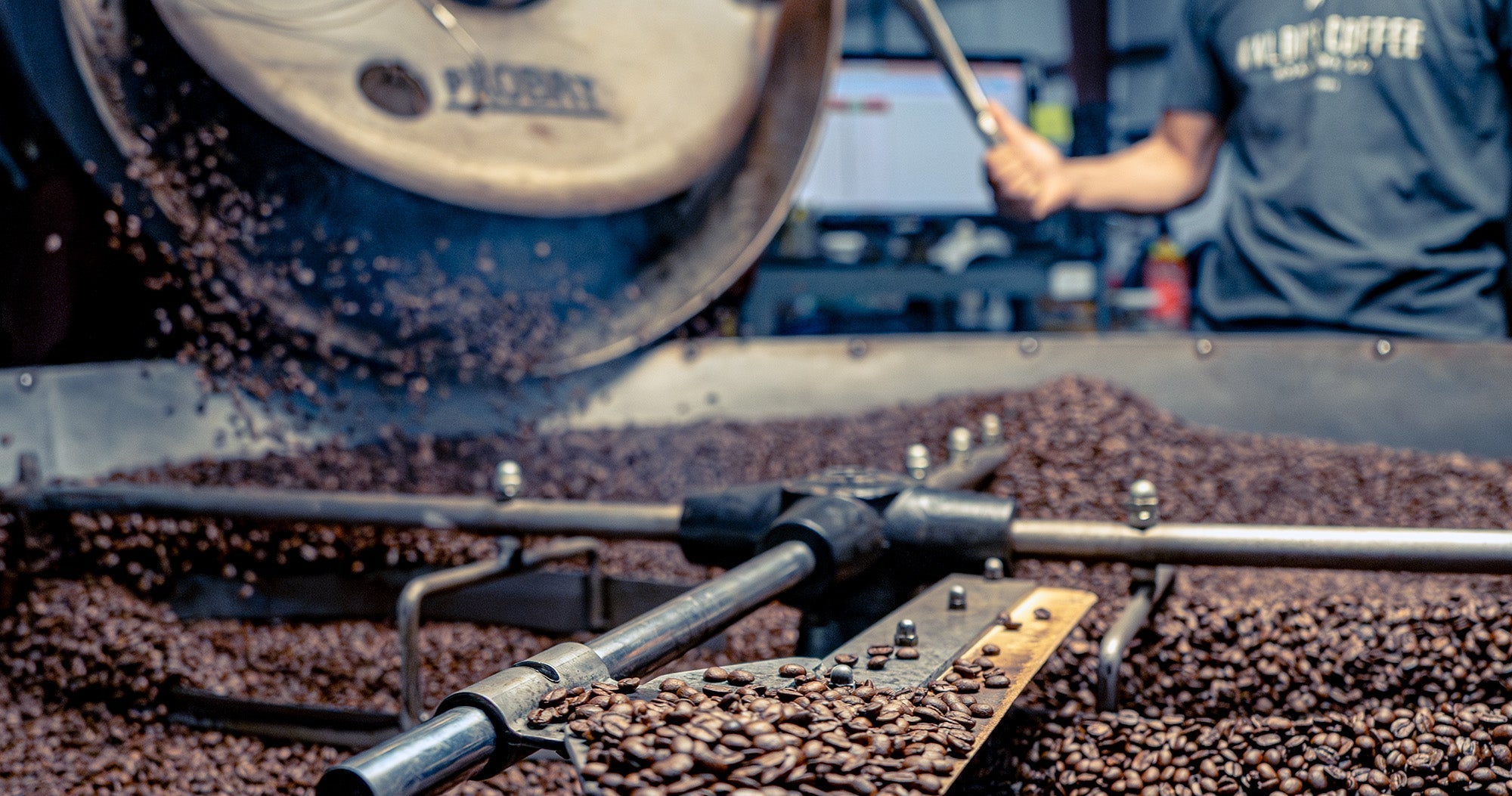 Roasting Cafe Kaldi in St. Louis, MO