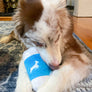 Kaldi's Dog Toy