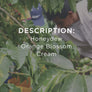 Description: Honeydew, Orange Blossom, Cream