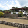 Guatemala Monja Blanca