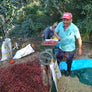 Mexico Ozolotepec