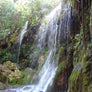 Mexico Ozolotepec