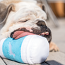 Kaldi's Dog Toy