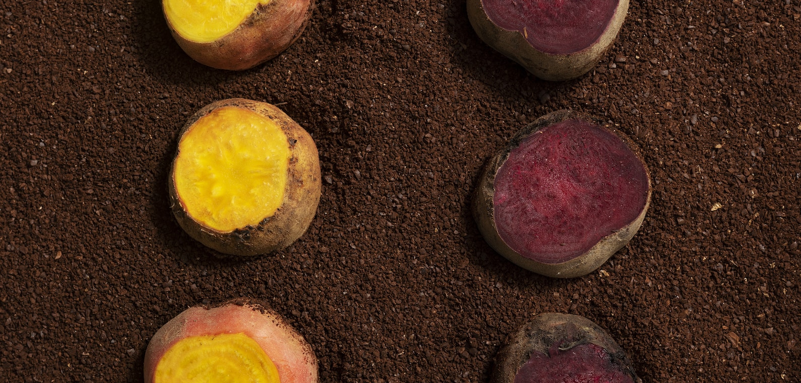Coffee Roasted Beets