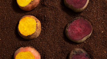 Coffee Roasted Beets