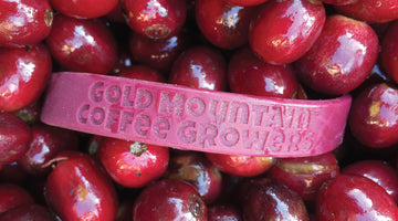 Relationship Spotlight: Gold Mountain Coffee Growers