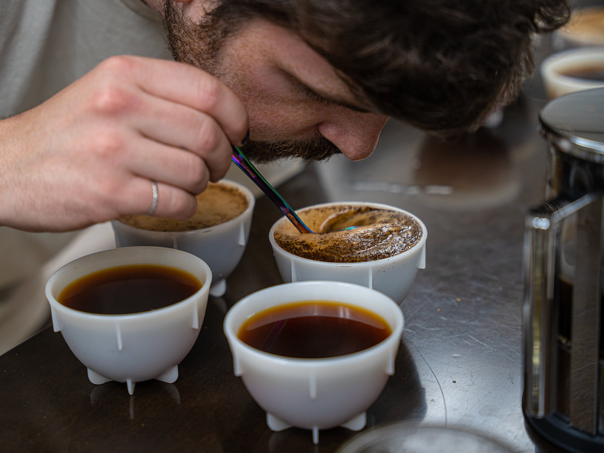 Cupping Specialty Coffee - Choosing a Roaster's Choice Coffee Subscription 