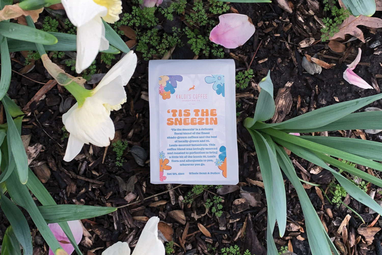 Tis the Sneezin Blend Bag - An Ode to Seasonal Allergies