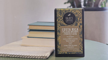 Exploring the Coffee Frontier with the Cupping Room Series
