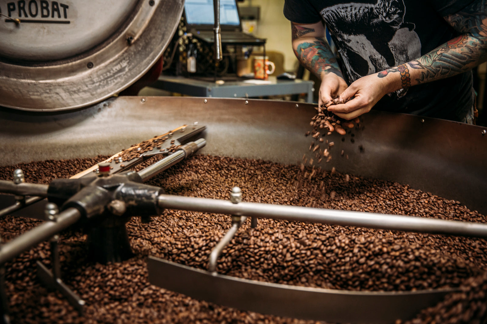 Roasted coffee sitting in a cooling tray