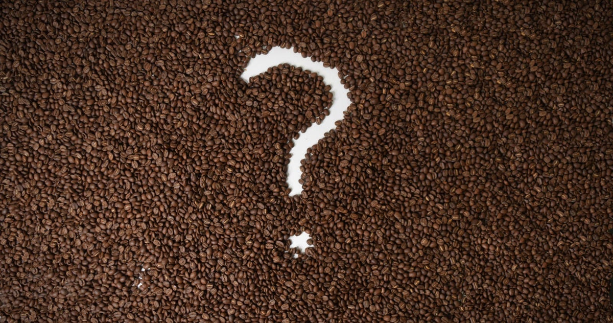 5 Common Coffee Questions, Answered – Kaldi's Coffee