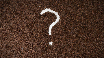 5 Common Coffee Questions, Answered