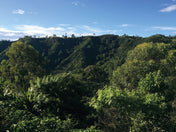 image of Colombian farm landscape