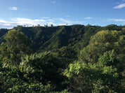image of Colombian farm landscape
