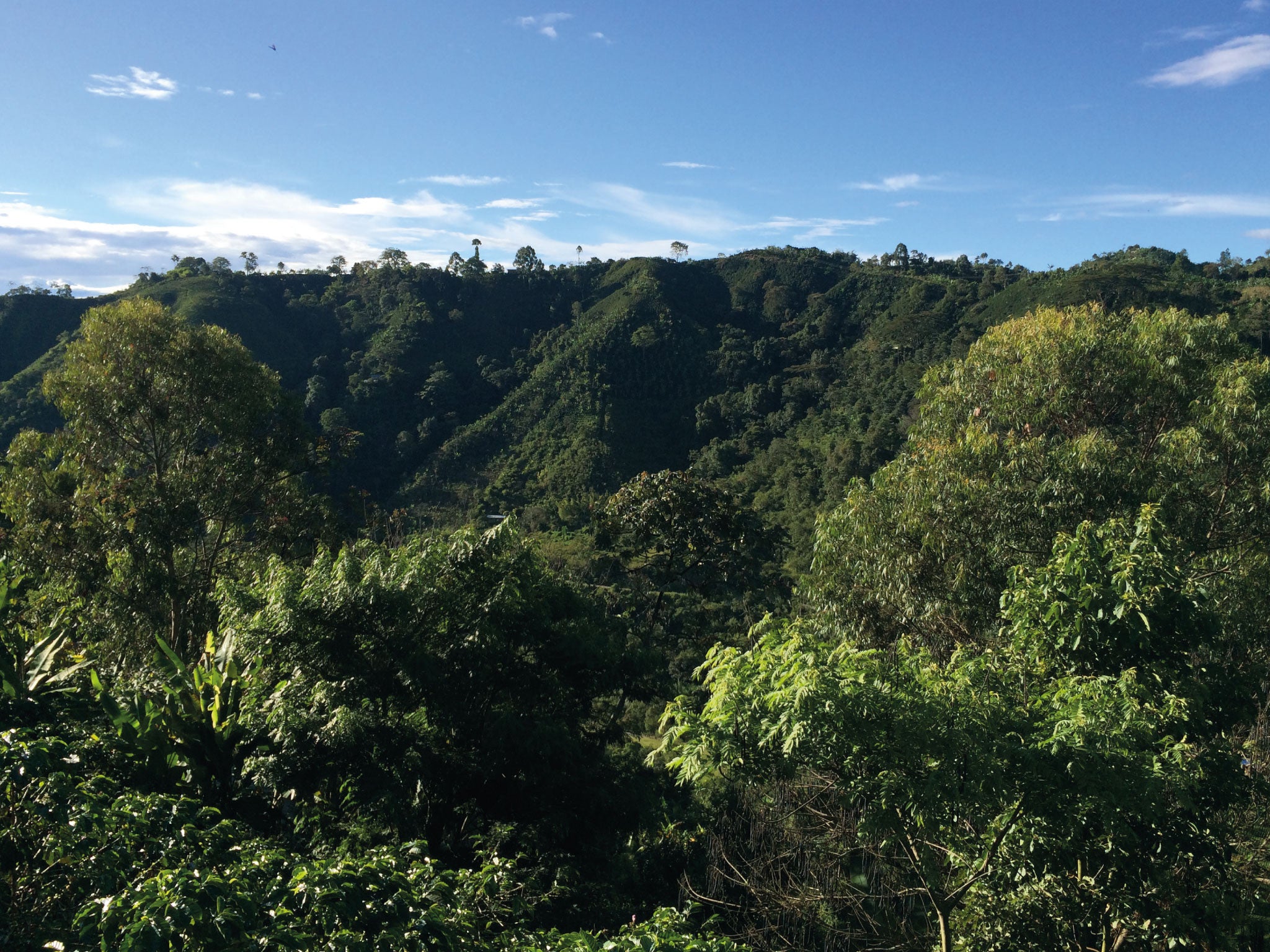image of Colombian farm landscape