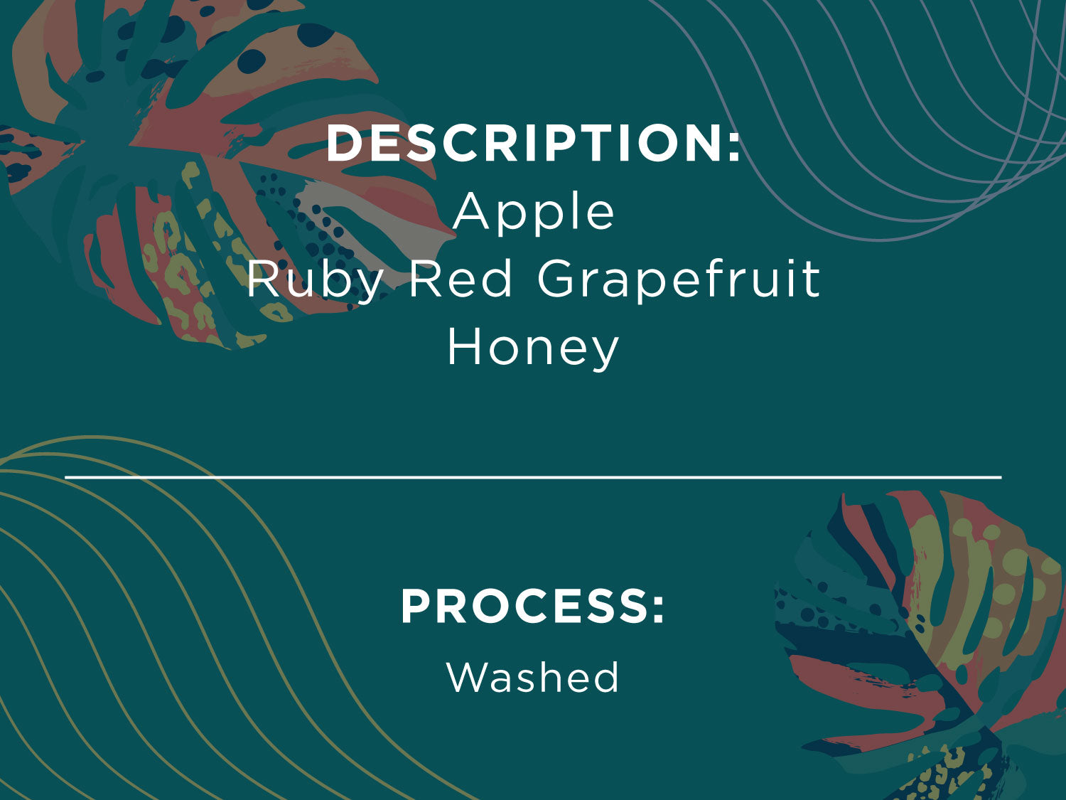 DESCRIPTION: Apple, Ruby red grapefruit, Honey. PROCESS: washed