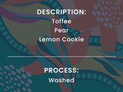 Text overlay on a colorful abstract background with 'Toffee Pear Lemon Cookie flavor notes and washed process.