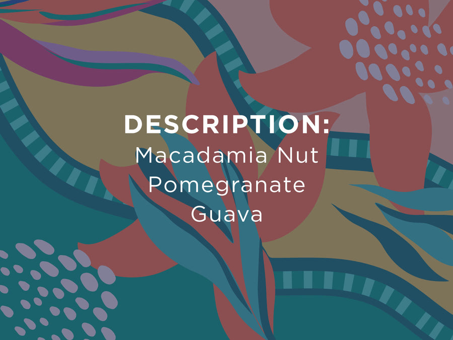 Description: Macadamia Nut, Pomegranate, and Guava