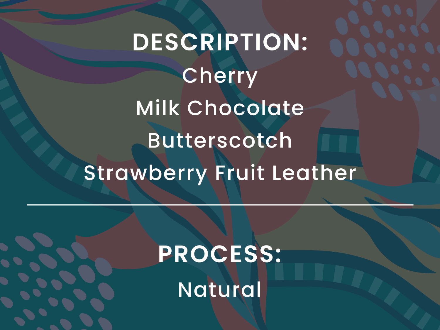 Text listing chocolate flavors and process on a colorful abstract background