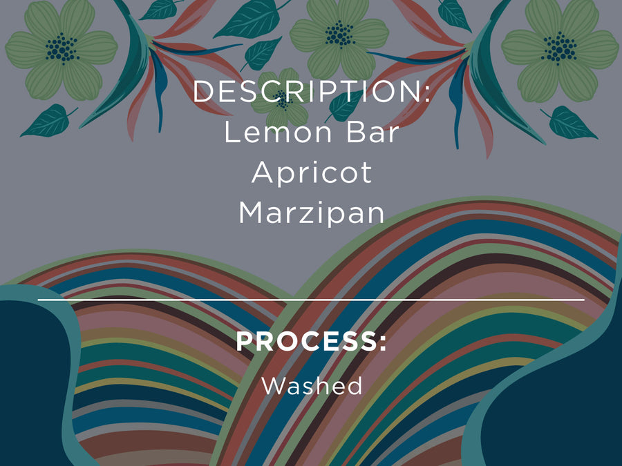 DESCRIPTION: Lemon Bar, Apricot, Marzipan. PROCESS: Washed