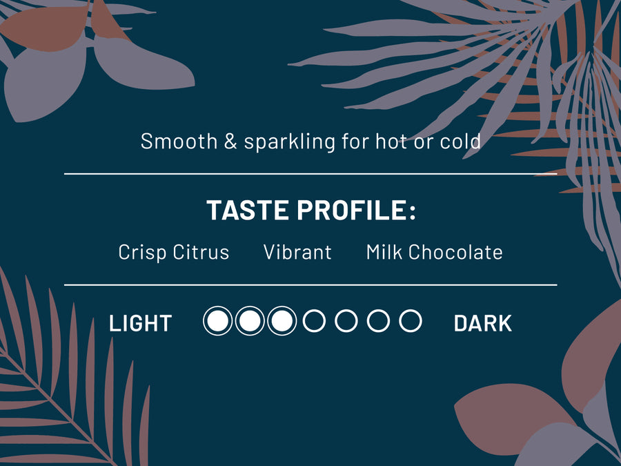 Smooth & Sparkling for hot or cold. Taste profile: Crisp Citrus, Vibrant, Milk Chocolate. Roast level 3 out of 7