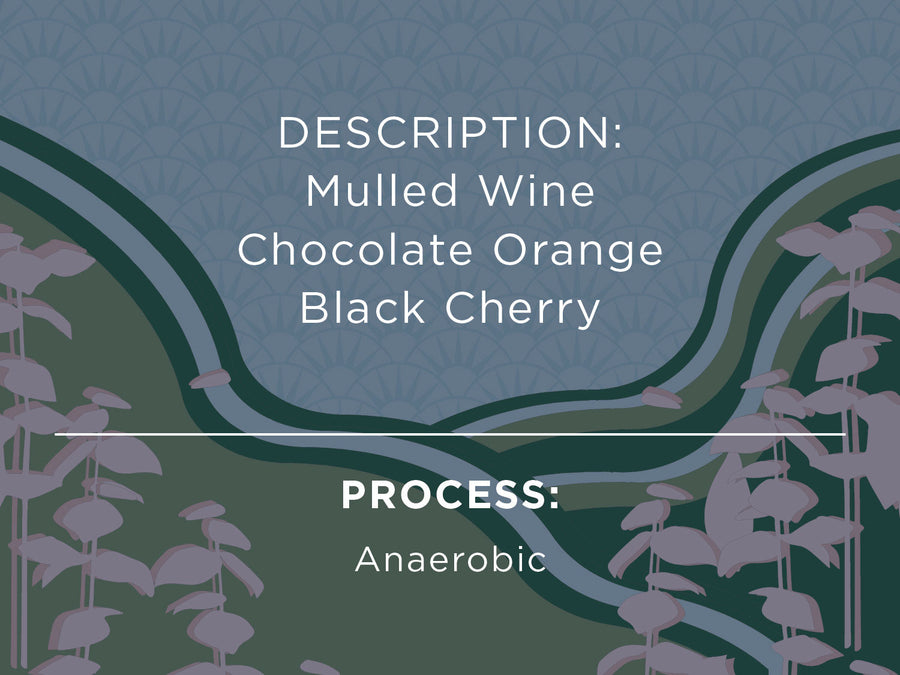 DESCRIPTION: Mulled Wine, Chocolate Orange, Black Cherry. PROCESS: Anaerobic