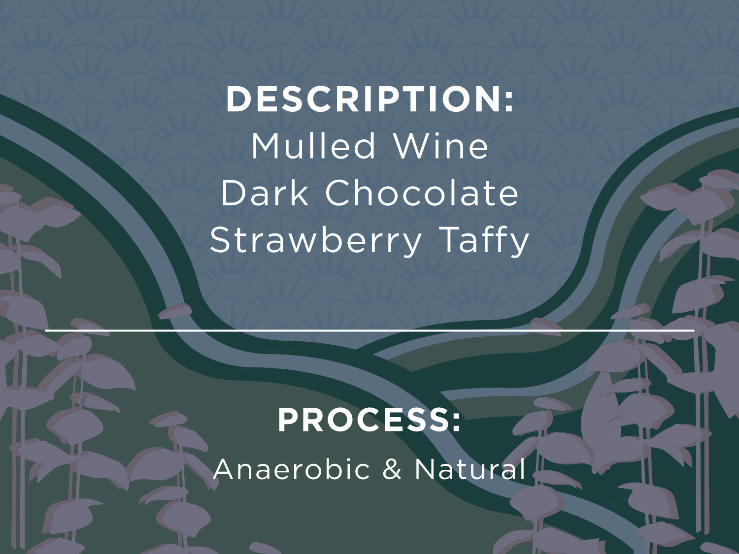 DESCRIPTION: MULLED WINE, DARK CHOCOLATE, STRAWBERRY TAFFY. PROCESS: ANAEROBIC & NATURAL