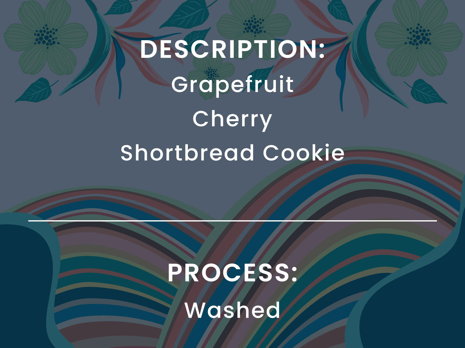 A decorative background with White text reads 'DESCRIPTION: Grapefruit, Cherry, Shortbread Cookie' and 'PROCESS: Washed'.
