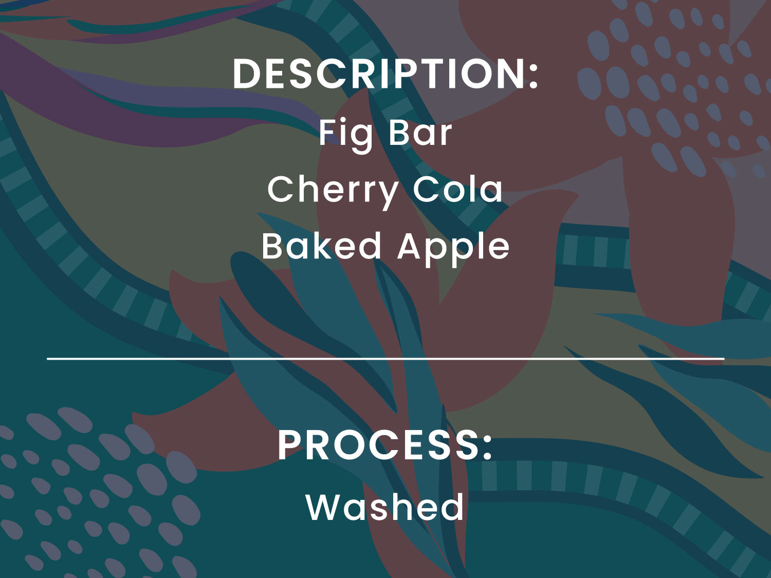Text overlay on a colorful abstract background with product descriptions and process details. Description: Fig bar, cherry cola, baked apple. Process: Washed.