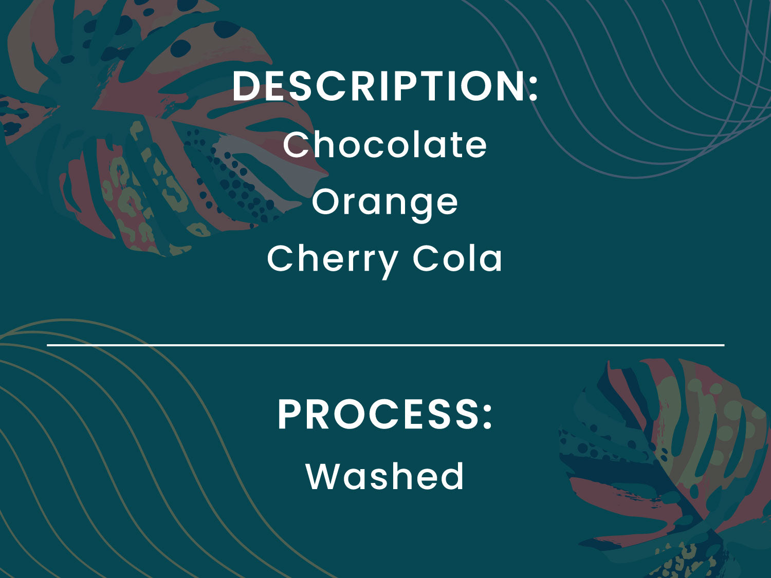 decorative graphic with description and process