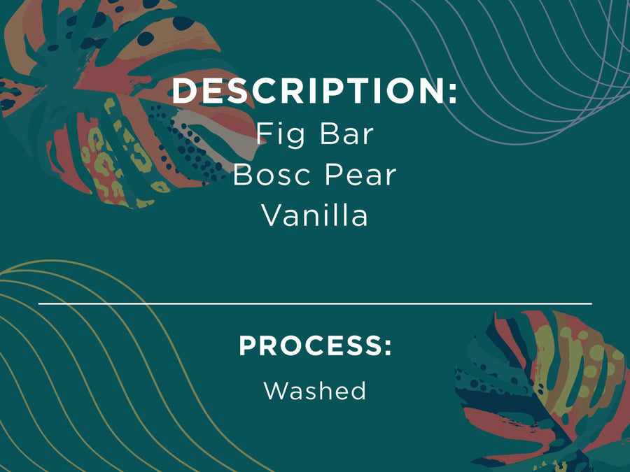 Description: Fig bar, Bosc Pear, Vanilla