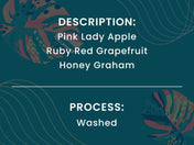 FTO Peru Rutas del Inca