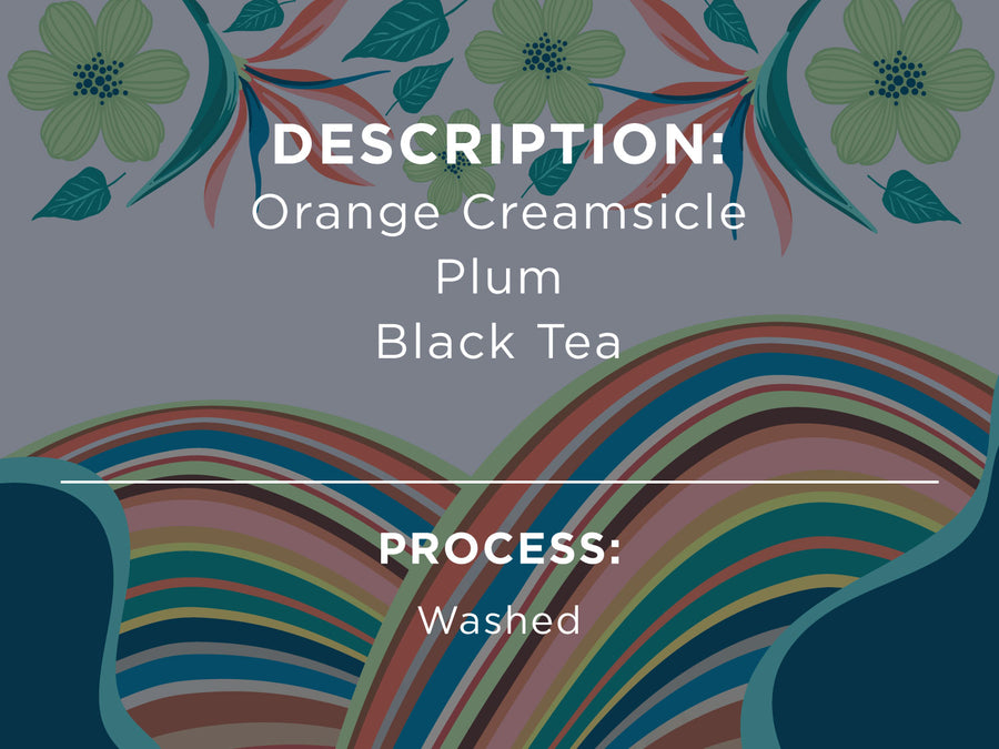 Description: Orange creamsicle, plum, black tea. Process: Washed
