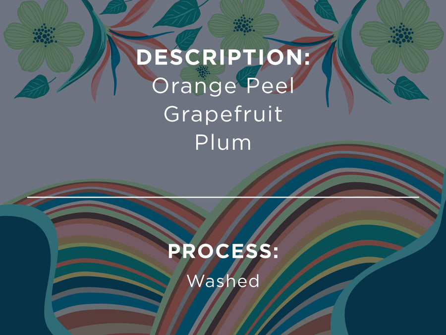 DESCRIPTION: Orane peel, grapefruit, plum. PROCESS: Washed