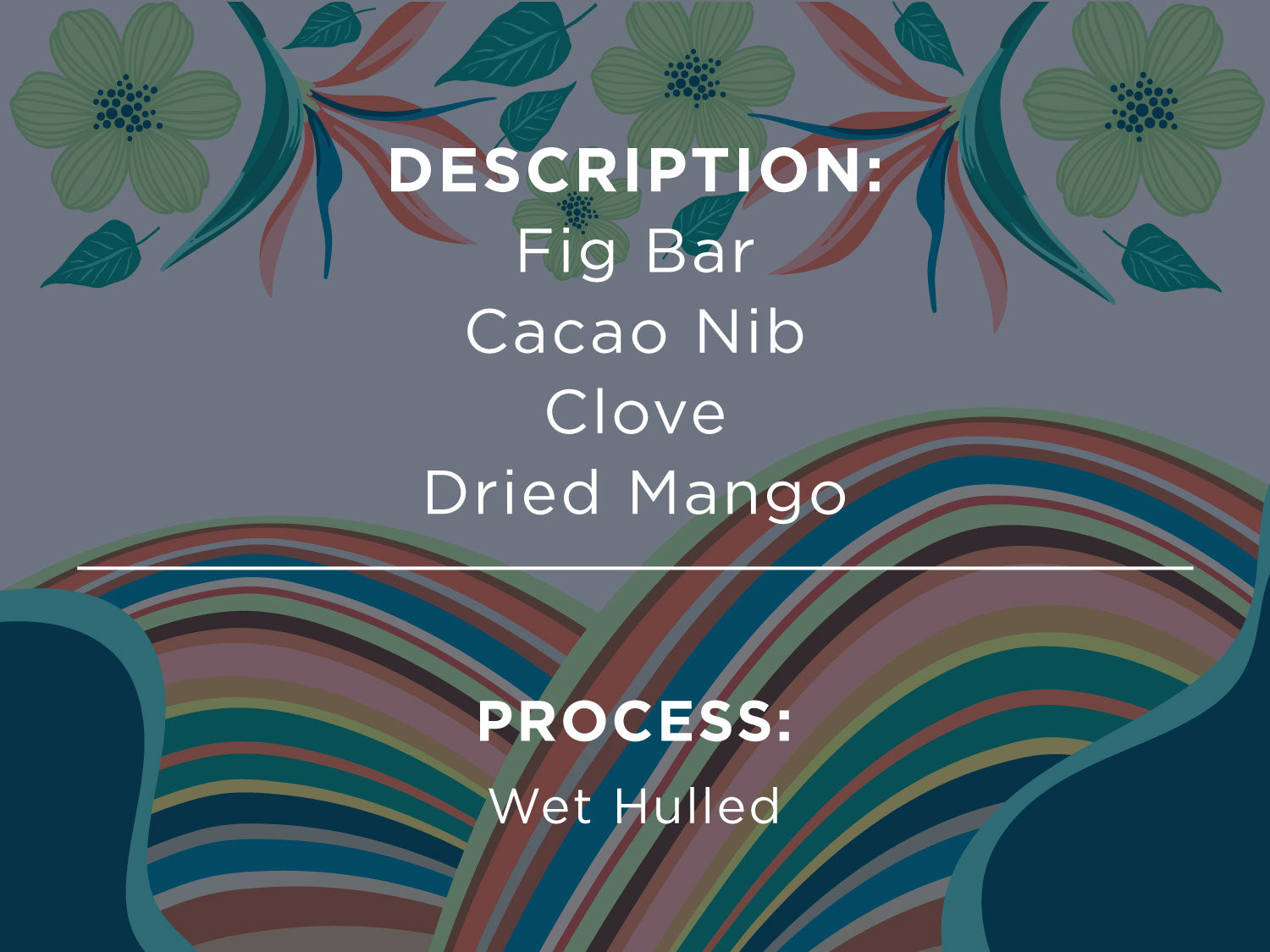 DESCRIPTION: FIG BAR, CACAO NIB, CLOVE, DRIED MANGO. PROCESS: WET HULLED