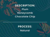 Text on a teal background with decorative elements and text 'Plum Honeycomb Chocolate Chip' and 'Natural' process.