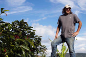 Person standing next to coffee plants with a clear blue sky in the background