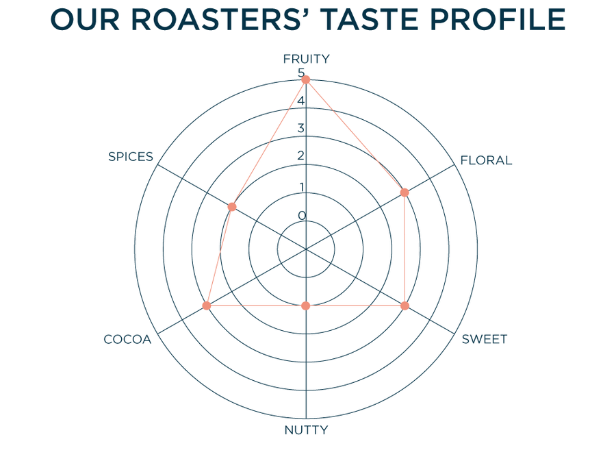 OUR ROASTERS' TASTE PROFILE: FRUITY - 5, FLORAL - 3, SWEET - 3, NUTTY - 1, COCOA - 3, SPICES - 2