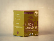 product image of green box of bird of paradise sachets