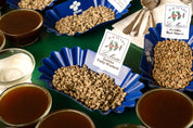 Unroasted coffee sits in a blue tray, surrounded by brewed cupping samples of the coffees. "Geisha Fully Washed" green coffee is the focal point.