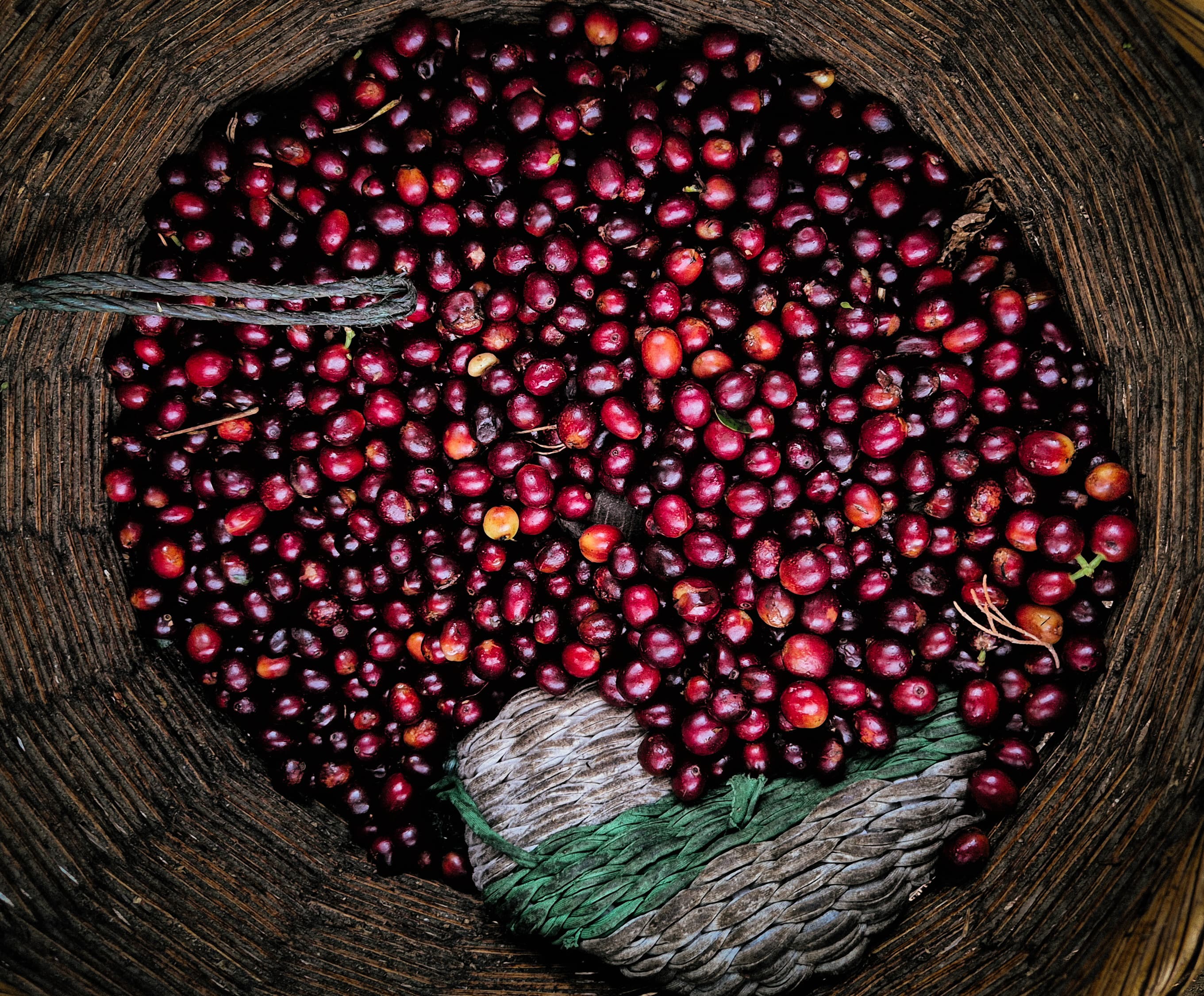 Basket filled with red coffee beans on a wooden surface