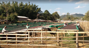 Image of drying beds