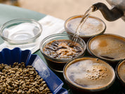 Unroasted coffee sits in a blue tray, surrounded by brewed cupping samples of the coffees. A kettle pours hot water into one of the ground-filled cupping samples.