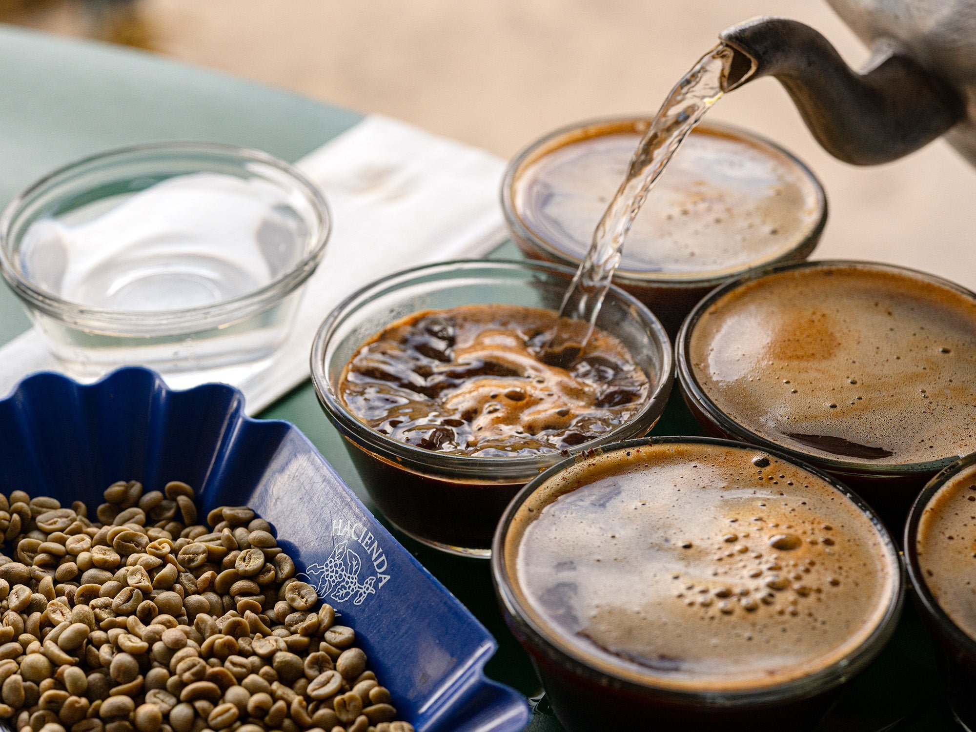Unroasted coffee sits in a blue tray, surrounded by brewed cupping samples of the coffees. A kettle pours hot water into one of the ground-filled cupping samples.