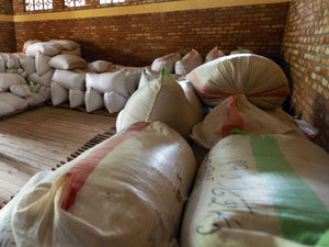 Bags of green coffee in Rwanda