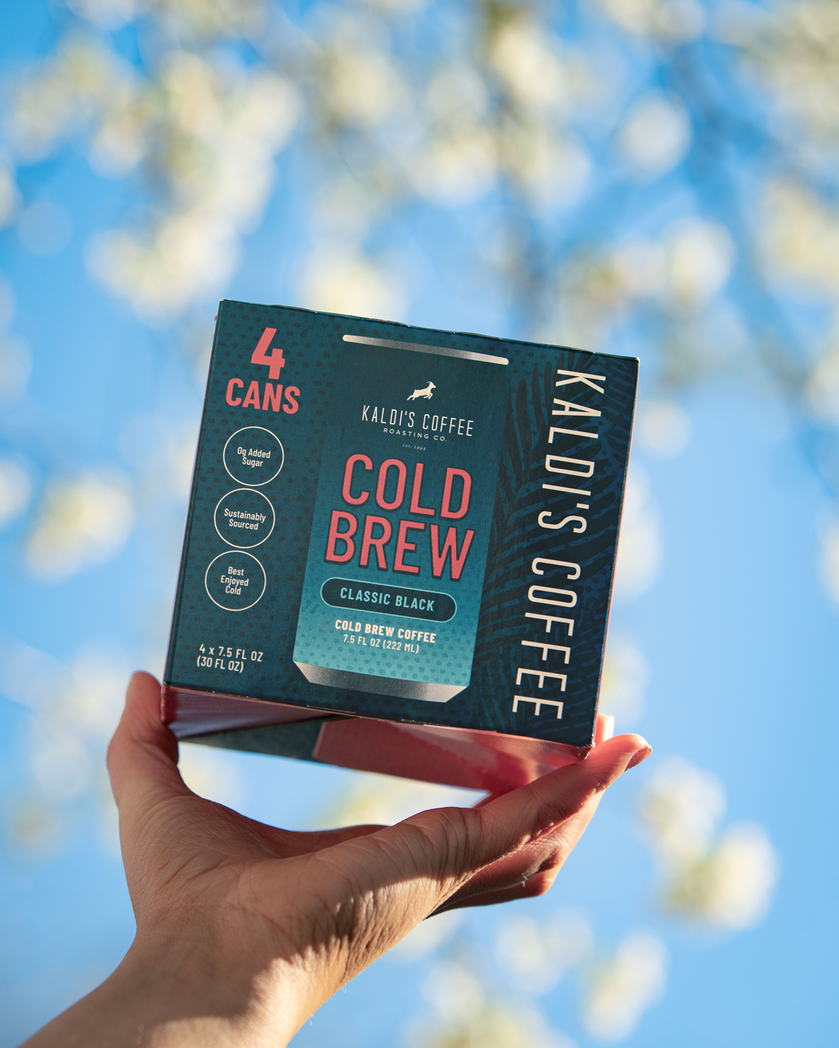 Hand holding a box of Kaldi's Coffee Cold Brew against a blurred natural background