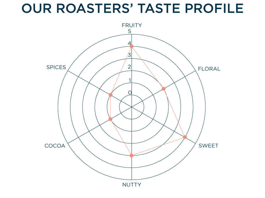 OUR ROASTERS' TASTE PROFILE: FRUITY - 4, FLORAL - 2, SWEET - 4, NUTTY - 3, COCOA - 1, SPICES - 1