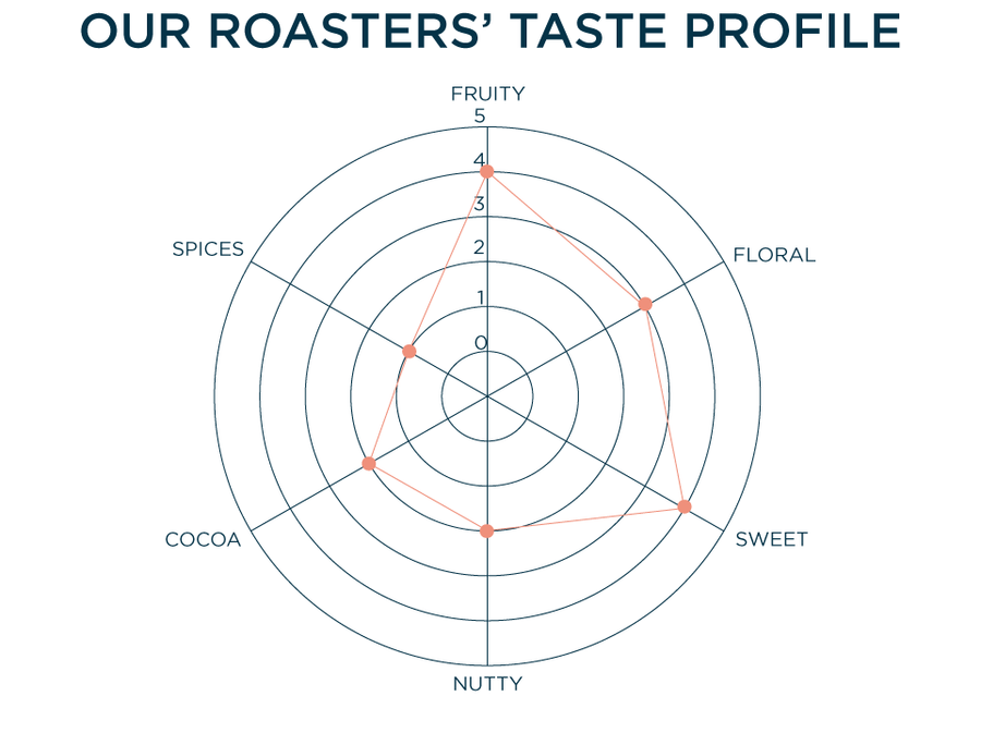 OUR ROASTERS' TASTE PROFILE: FRUITY - 4, FLORAL - 3, SWEET - 4, NUTTY - 2, COCOA - 2, SPICES - 1