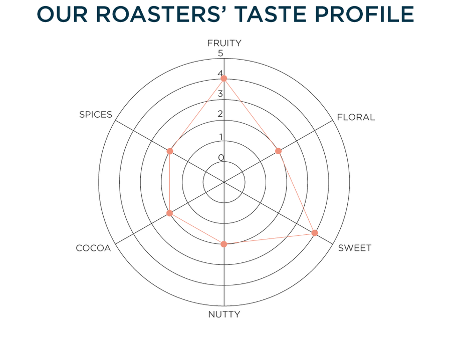Our Roasters' Taste Profile: Fruity 4/5, Floral 2/5, Sweet 4/5, Nutty 2/5, Cocoa 2/5, Spices 2/5