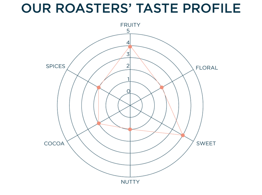 OUR ROASTERS' TASTE PROFILE: Fruity - 4, Floral - 2, Sweet - 4, Nutty - 1, Cocoa - 2, Spices - 2